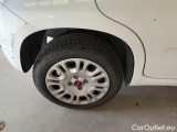  Fiat  Panda FIAT  / 2011 / 5P / BERLINA 1.2 69CV SeS E6D-TEMP EASY #97