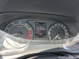  Skoda  Octavia  Combi (NX3)(2020) Oct.Combi 1.5TSI 110 Active #25