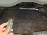  Audi  A1 Sportback Audi  25 TFSI Pro Line 5d #63