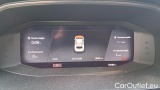  Cupra  Formentor 2.0 TDI 4Drive DSG #13