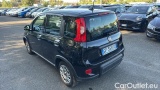  Fiat  Panda 1.0 FireFly 70cv S&S Hybrid #3