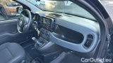  Fiat  Panda 1.0 FireFly 70cv S&S Hybrid #6
