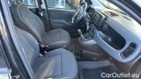  Fiat  Panda 1.0 FireFly 70cv S&S Hybrid #5