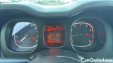  Fiat  Panda 1.0 FireFly 70cv S&S Hybrid #12