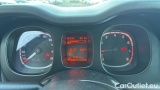  Fiat  Panda 1.0 FireFly 70cv S&S Hybrid #13