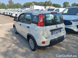  Fiat  Panda 1.0 FireFly 70cv S&S Hybrid #3