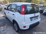  Fiat  Panda 1.0 FireFly 70cv S&S Hybrid #3