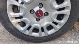  Fiat  Panda 1.0 FireFly 70cv S&S Hybrid #27