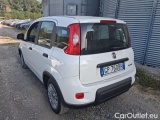  Fiat  Panda 1.0 FireFly 70cv S&S Hybrid #3