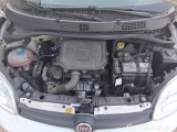  Fiat  Panda 1.0 FireFly 70cv S&S Hybrid #15