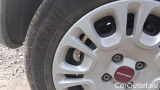 Fiat  Panda 1.0 FireFly 70cv S&S Hybrid #23