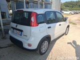  Fiat  Panda 1.0 FireFly 70cv S&S Hybrid #4