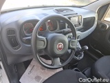  Fiat  Panda 1.0 FireFly 70cv S&S Hybrid #7