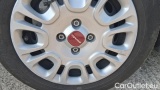  Fiat  Panda 1.0 FireFly 70cv S&S Hybrid #23
