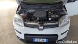  Fiat  Panda 1.0 Hybrid S&S 70cv E6.4 Van 2 posti #15