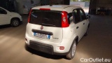  Fiat  Panda 1.0 Hybrid S&S 70cv E6.4 Van 2 posti #4