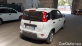  Fiat  Panda 1.0 Hybrid S&S 70cv E6.4 Van 2 posti #4