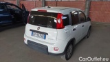  Fiat  Panda 1.0 Hybrid S&S 70cv E6.4 Van 2 posti #4