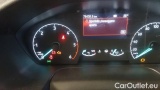  Ford  Transit 290 L2H2 Trend 2.0 Eco 130 Cv #13