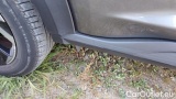  Nissan  Juke 1.0 DIG-T 114 N-Connecta Dct #32