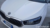  Skoda  Fabia 1.0 TSI Evo 81KW STYLE DSG #35
