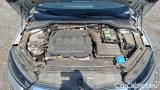  Skoda  Octavia 2.0 TDI EVO 85KW EXECUTIVE #15