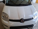  Fiat  Panda FIAT  / 2011 / 5P / BERLINA 1.0 FIREFLY 70CV SeS HYBRID CITY LIFE #30