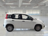  Fiat  Panda FIAT  / 2011 / 5P / BERLINA 1.2 69CV SeS E6D-TEMP EASY #7