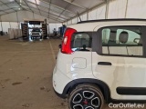  Fiat  Panda FIAT  / 2011 / 5P / BERLINA 1.0 FIREFLY 70CV SeS HYBRID CITY LIFE #43