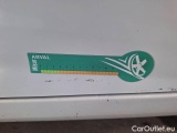  Renault  Zoe RENAULT  / 2019 / 5P / BERLINA  LIFE R110 #36