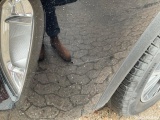  Ford  Kuga  Titanium 1.5 EcoBlue 88KW AT8 E6d #15