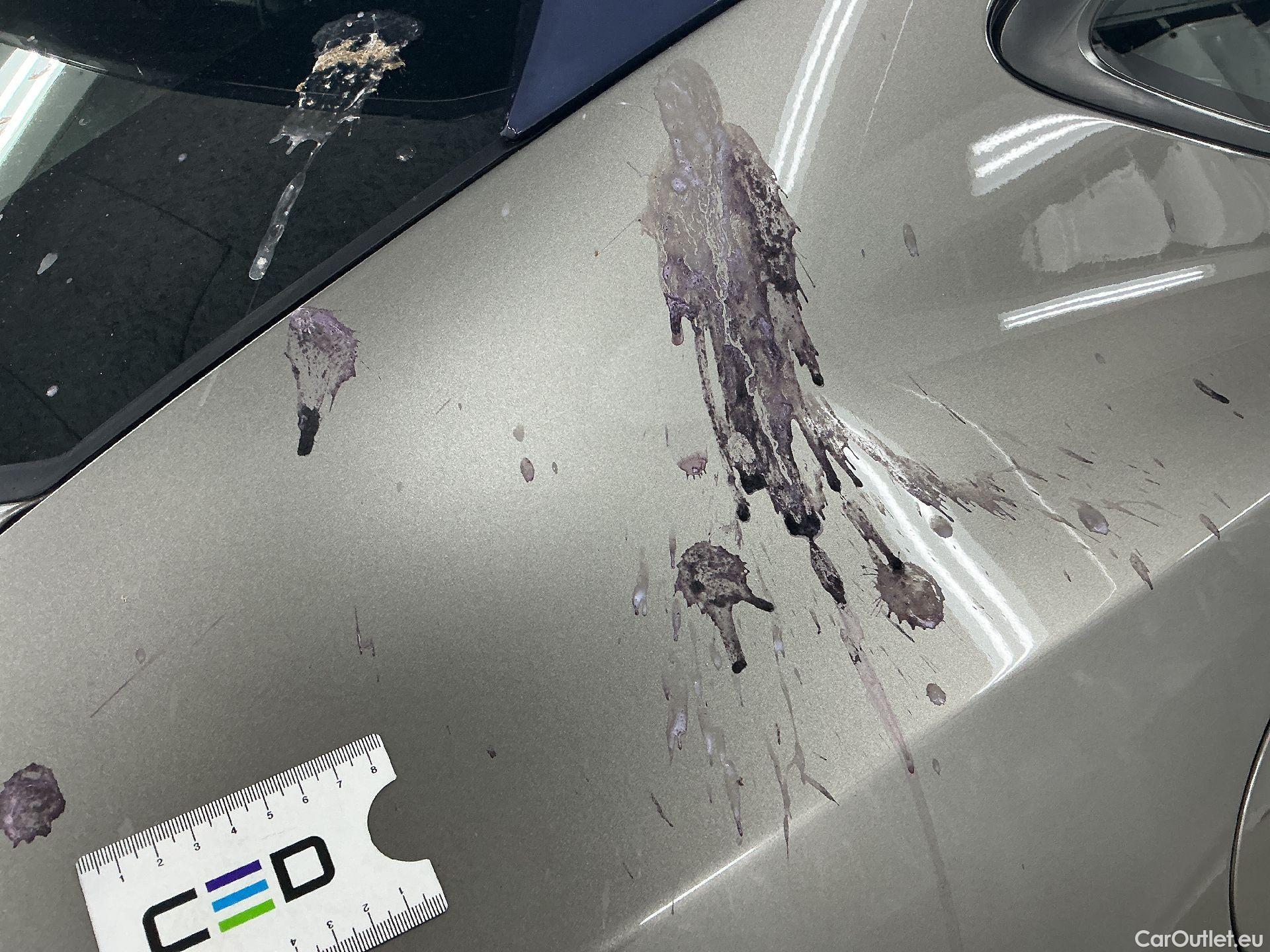 Jaguar  E-PACE Jaguar,  '17,  D150 AWD A.R-Dyn.S #12