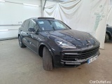 Cayenne