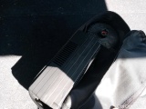 Bmw  X3 BMW  / 2021 / 5P / todoterreno xDrive20d xLine #10