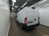 Ducato