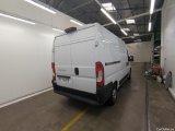 Ducato