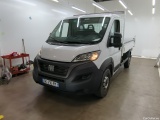 Ducato