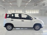  Fiat  Panda FIAT  / 2011 / 5P / BERLINA 1.0 FIREFLY 70CV SeS HYBRID #7