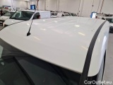  Fiat  Doblo FIAT DOBLÒ CARGO / 2014 / 4P / VETT. FURGONATA MAXI 1.3 MULTIJET 16V 95CV SX EURO 6 #20