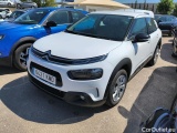 C4 Cactus