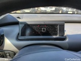 C4 Cactus