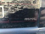 C4 Cactus