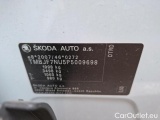  Skoda  Karoq 2.0 TDI 116 AMBITION #8