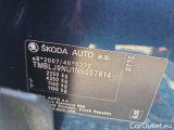  Skoda  Karoq  (NU)(2017->)  2.0TDI 110 4x4 Style AT #10