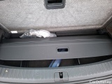  Skoda  Kodiaq  Business 2.0 TDI 150CV BVA7 E6dT #11