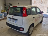  Fiat  Panda FIAT  / 2011 / 5P / BERLINA 1.2 69CV SeS E6D-TEMP EASY #52