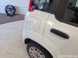  Fiat  Panda FIAT  / 2011 / 5P / BERLINA 1.2 69CV SeS E6D-TEMP EASY #100