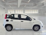  Fiat  Panda FIAT  / 2011 / 5P / BERLINA 1.0 70CV SeS HYBRID #7