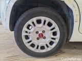  Fiat  Panda FIAT  / 2011 / 5P / BERLINA 1.0 70CV SeS HYBRID #18