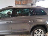  Skoda  Kodiaq SKODA  / 2021 / 5P / SUV 2.0 TDI EVO SCR EXECUTIVE DSG 4WD 7P #64
